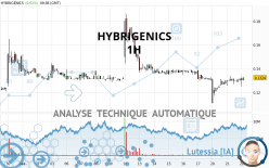 HYBRIGENICS - 1H