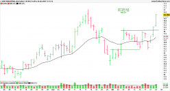 CNH INDUSTRIAL - Daily