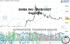 SHIBA INU - SHIB/USDT - Dagelijks