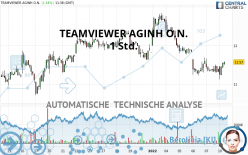 TEAMVIEWER SEINH O.N. - 1 Std.