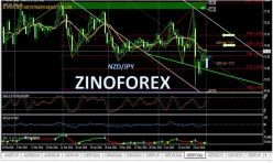 NZD/JPY - Giornaliero