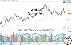 WHEAT - Giornaliero