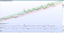 LECTRA - Daily