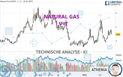 NATURAL GAS - 1 Std.