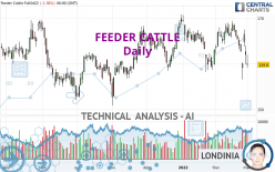 FEEDER CATTLE - Daily