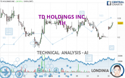 TD HOLDINGS INC. - 1H