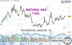 NATURAL GAS - 1 Std.