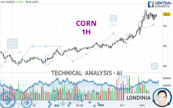 CORN - 1 uur