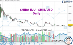 SHIBA INU - SHIB/USD - Dagelijks