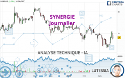 SYNERGIE - Journalier