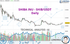 SHIBA INU - SHIB/USDT - Daily
