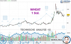 WHEAT - 1 Std.