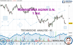 TEAMVIEWER SEINH O.N. - 1 Std.