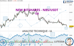 NEW BITSHARES - NBS/USDT - 1H