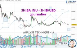 SHIBA INU - SHIB/USD - Journalier