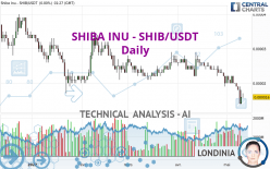 SHIBA INU - SHIB/USDT - Daily