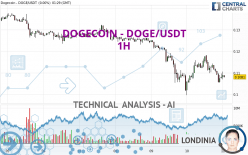 DOGECOIN - DOGE/USDT - 1 Std.