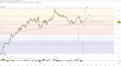 USD/CAD - 30 min.