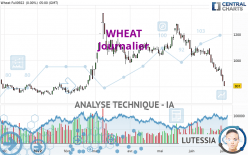 WHEAT - Daily