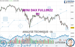 MINI DAX FULL0624 - 1 Std.