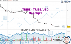 TRIBE - TRIBE/USD - Dagelijks