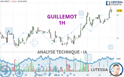 GUILLEMOT - 1H