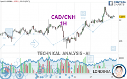 CAD/CNH - 1H