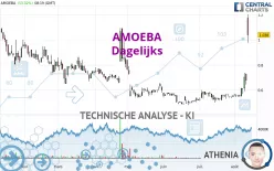 AMOEBA - Daily