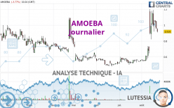 AMOEBA - Diario