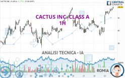 CACTUS INC. CLASS A - 1H