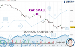 CAC SMALL - 1H