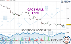 CAC SMALL - 1 Std.