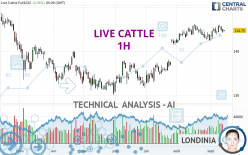 LIVE CATTLE - 1H