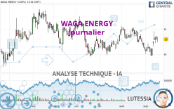 WAGA ENERGY - Journalier