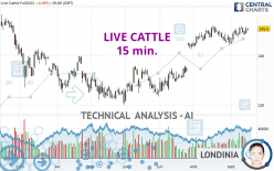 LIVE CATTLE - 15 min.