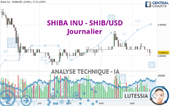 SHIBA INU - SHIB/USD - Dagelijks