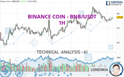 BINANCE COIN - BNB/USDT - 1 Std.