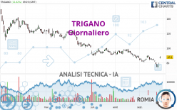 TRIGANO - Daily