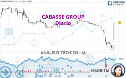 VEOM GROUP - Diario