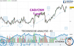 CAD/CNH - 1 uur