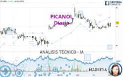 PICANOL - Diario