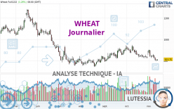 WHEAT - Täglich