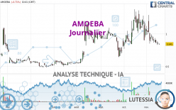 AMOEBA - Diario