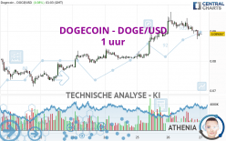 DOGECOIN - DOGE/USD - 1 uur