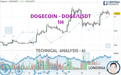 DOGECOIN - DOGE/USDT - 1 uur