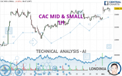 CAC MID & SMALL - 1H