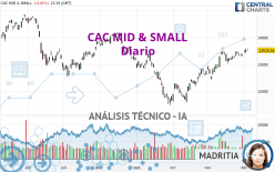 CAC MID & SMALL - Diario