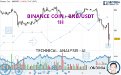 BINANCE COIN - BNB/USDT - 1 Std.