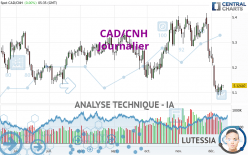 CAD/CNH - Journalier