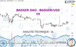 BADGER DAO - BADGER/USD - 1H